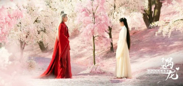攻略800万前摄+强续航 荣耀畅玩5A全面评测